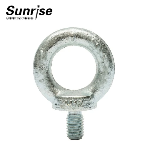 DIN580 BOLTS RINE RING EYE