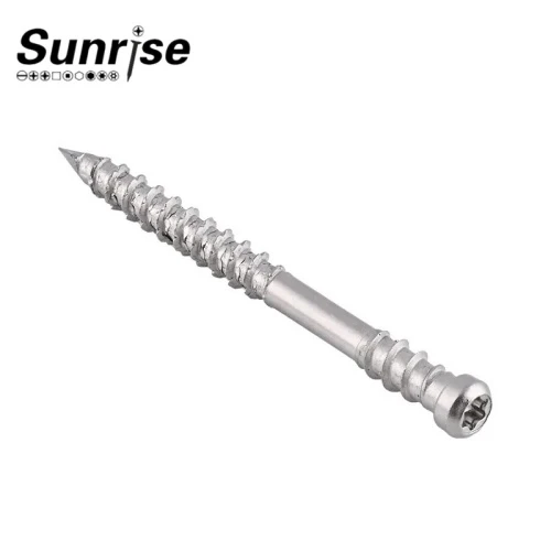 Terrace Stainless Steel Screw 4