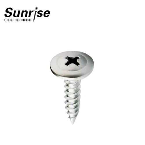 Truss Head Phillips Galvanized Self Syping Screws